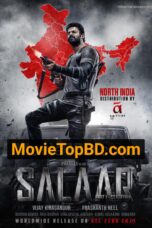 Salaar Part 1 Ceasefire Movie Download Dual Hindi ORG & Telegu 2K