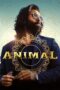 Animal Movie Download Hindi 4k ORG HD